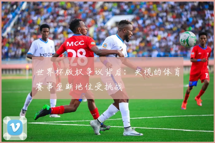 世界杯版权争议背后：央视的体育赛事垄断地位受挑战