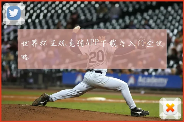 世界杯正规竞猜APP下载与入门全攻略